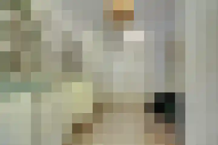 Van Leeuwenhoeklaan 52 Vlijmen thumbnail 24