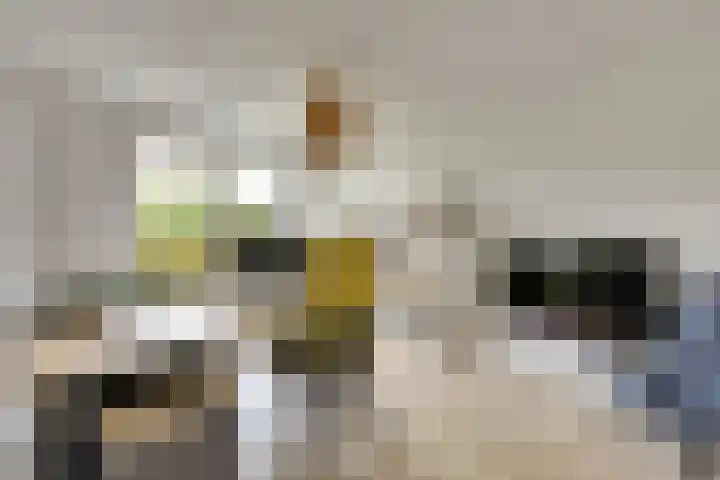 Van Leeuwenhoeklaan 52 Vlijmen thumbnail 25