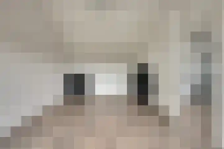 Van Leeuwenhoeklaan 52 Vlijmen thumbnail 30