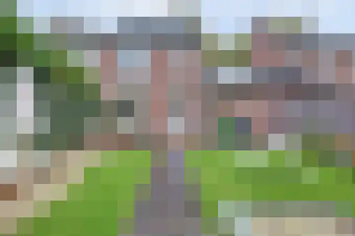 Van Leeuwenhoeklaan 52 Vlijmen thumbnail 32