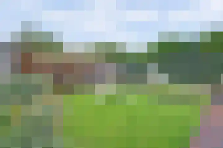 Van Leeuwenhoeklaan 52 Vlijmen thumbnail 34