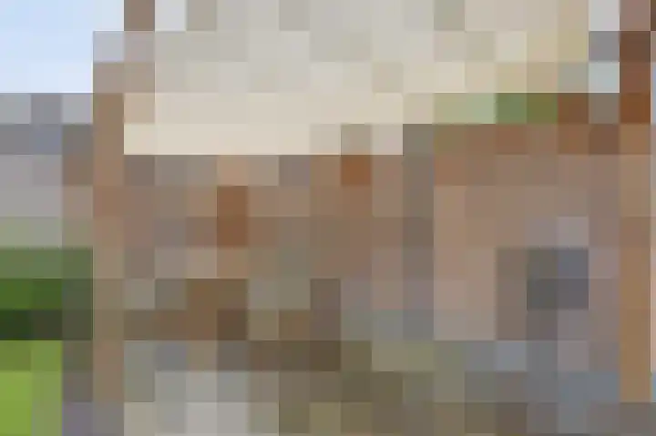Van Leeuwenhoeklaan 52 Vlijmen thumbnail 37