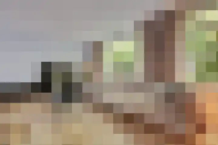 Van Leeuwenhoeklaan 52 Vlijmen thumbnail 4
