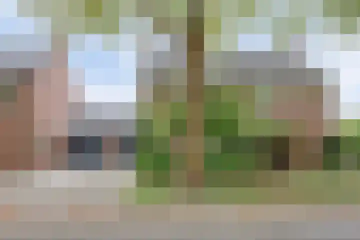 Van Leeuwenhoeklaan 52 Vlijmen thumbnail 41