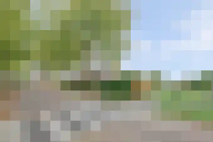 Van Leeuwenhoeklaan 52 Vlijmen thumbnail 45