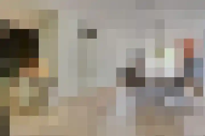 Van Leeuwenhoeklaan 52 Vlijmen thumbnail 5