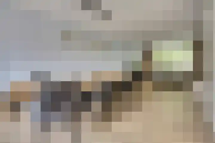 Van Leeuwenhoeklaan 52 Vlijmen thumbnail 6
