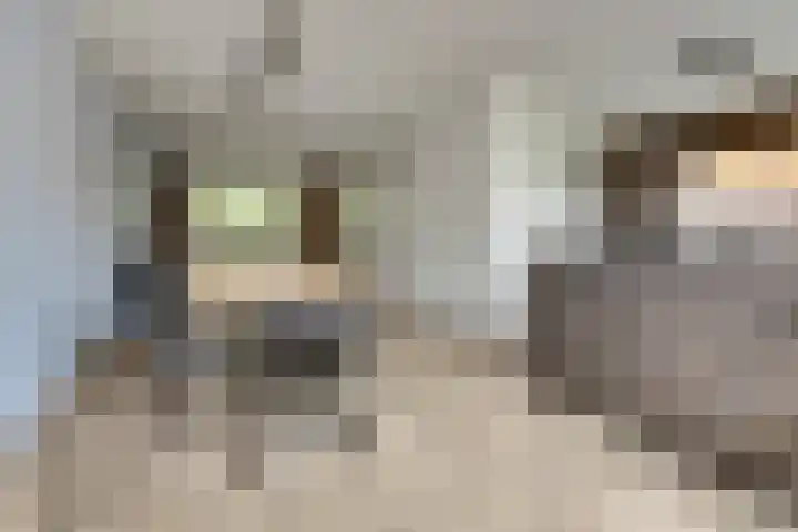 Van Leeuwenhoeklaan 52 Vlijmen thumbnail 7
