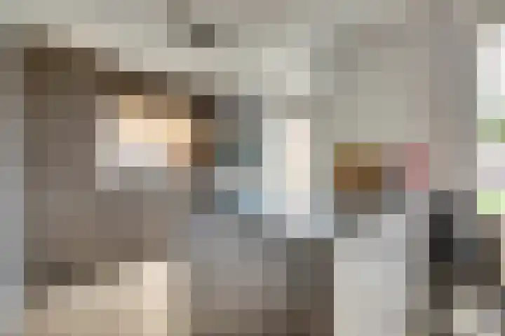 Van Leeuwenhoeklaan 52 Vlijmen thumbnail 9
