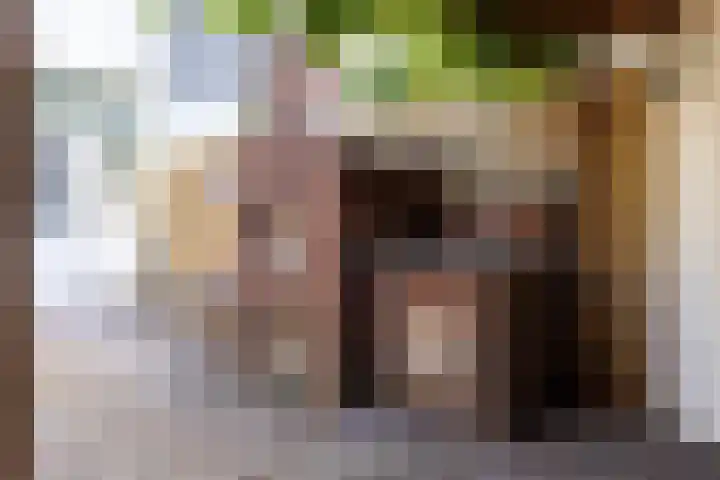 van Leeuwenhoeklaan 53 Doetinchem thumbnail 16
