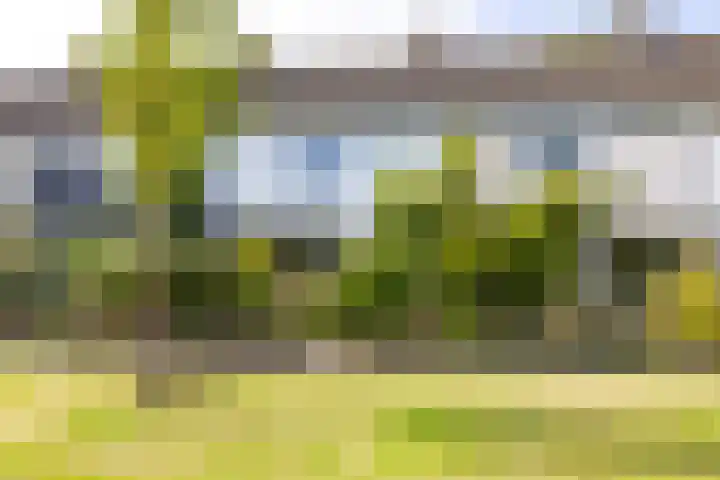 van Leeuwenhoeklaan 53 Doetinchem thumbnail 24