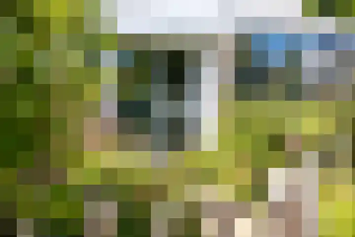 van Leeuwenhoeklaan 53 Doetinchem thumbnail 25