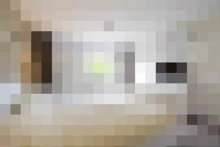 van Leeuwenhoeklaan 53 Doetinchem thumbnail 30
