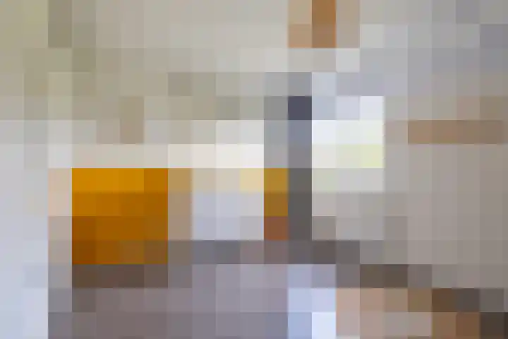 van Leeuwenhoeklaan 53 Doetinchem thumbnail 33