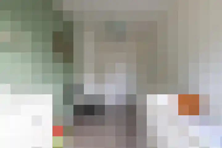 van Leeuwenhoeklaan 53 Doetinchem thumbnail 35