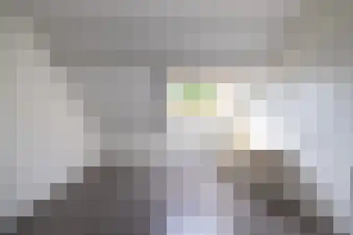 van Leeuwenhoeklaan 53 Doetinchem thumbnail 42