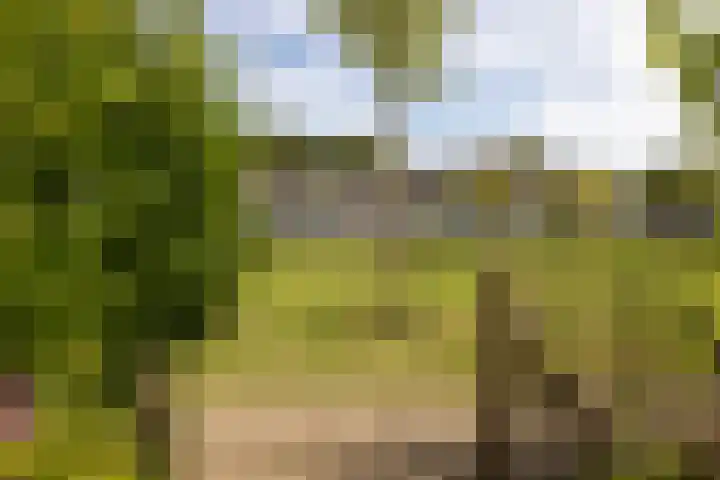 van Leeuwenhoeklaan 53 Doetinchem thumbnail 45