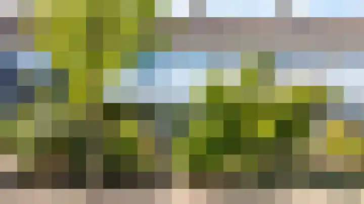 van Leeuwenhoeklaan 53 Doetinchem thumbnail 46