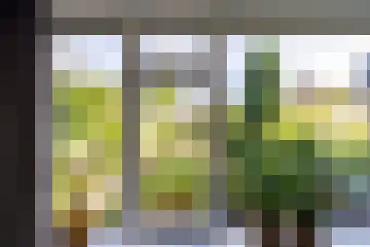 van Leeuwenhoeklaan 53 Doetinchem thumbnail 5