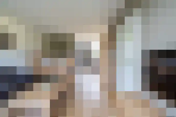 van Leeuwenhoeklaan 53 Doetinchem thumbnail 7