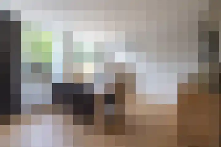 van Leeuwenhoeklaan 53 Doetinchem thumbnail 8