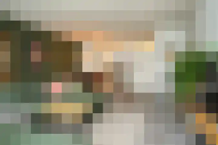 Van Leeuwenhoeklaan 59 Vlijmen thumbnail 10