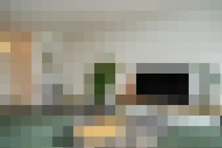 Van Leeuwenhoeklaan 59 Vlijmen thumbnail 13