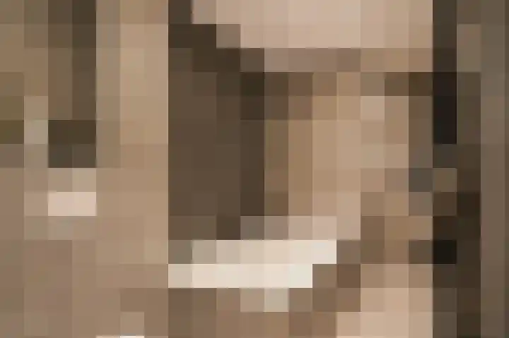 Van Leeuwenhoeklaan 59 Vlijmen thumbnail 20