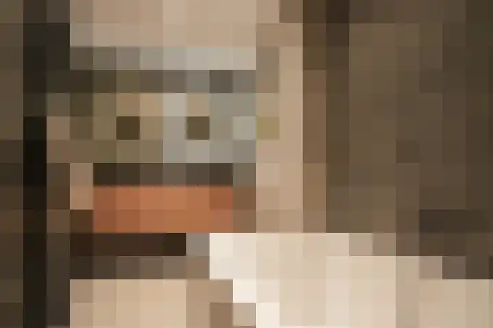 Van Leeuwenhoeklaan 59 Vlijmen thumbnail 21