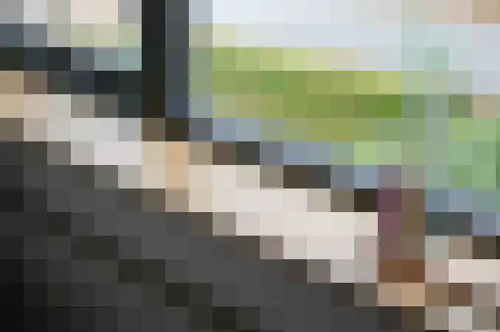 Van Leeuwenhoeklaan 59 Vlijmen thumbnail 24