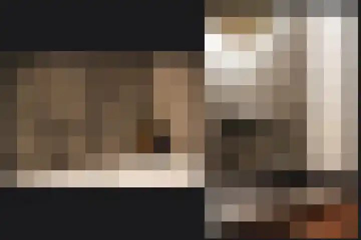 Van Leeuwenhoeklaan 59 Vlijmen thumbnail 26