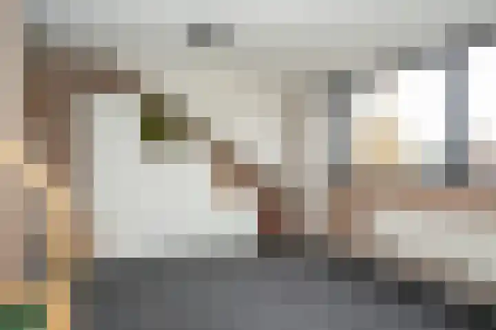 Van Leeuwenhoeklaan 59 Vlijmen thumbnail 31