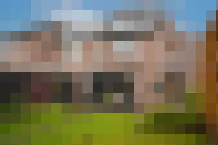 Van Leeuwenhoeklaan 59 Vlijmen thumbnail 32