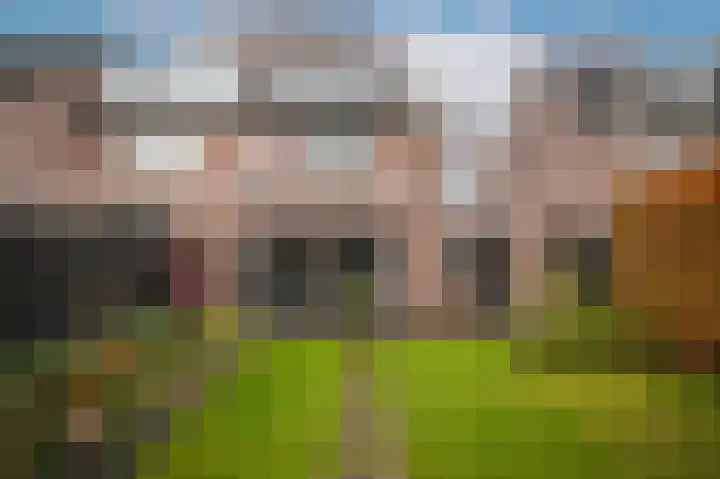 Van Leeuwenhoeklaan 59 Vlijmen thumbnail 36