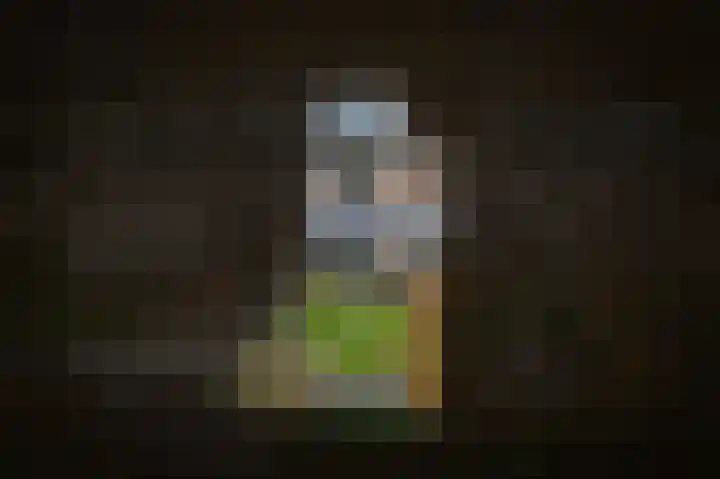 Van Leeuwenhoeklaan 59 Vlijmen thumbnail 38