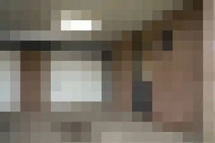 Van Leeuwenhoeklaan 59 Vlijmen thumbnail 4