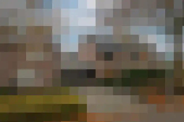 Van Leeuwenhoeklaan 59 Vlijmen thumbnail 41