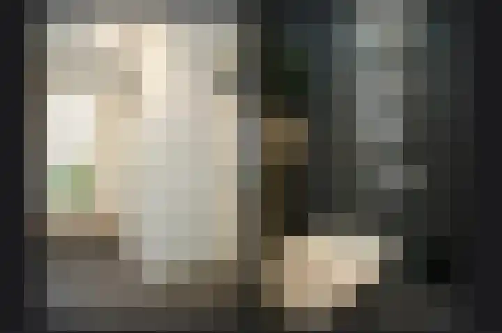 Van Leeuwenhoeklaan 59 Vlijmen thumbnail 5