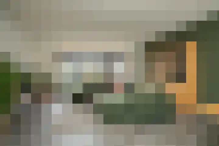 Van Leeuwenhoeklaan 59 Vlijmen thumbnail 6