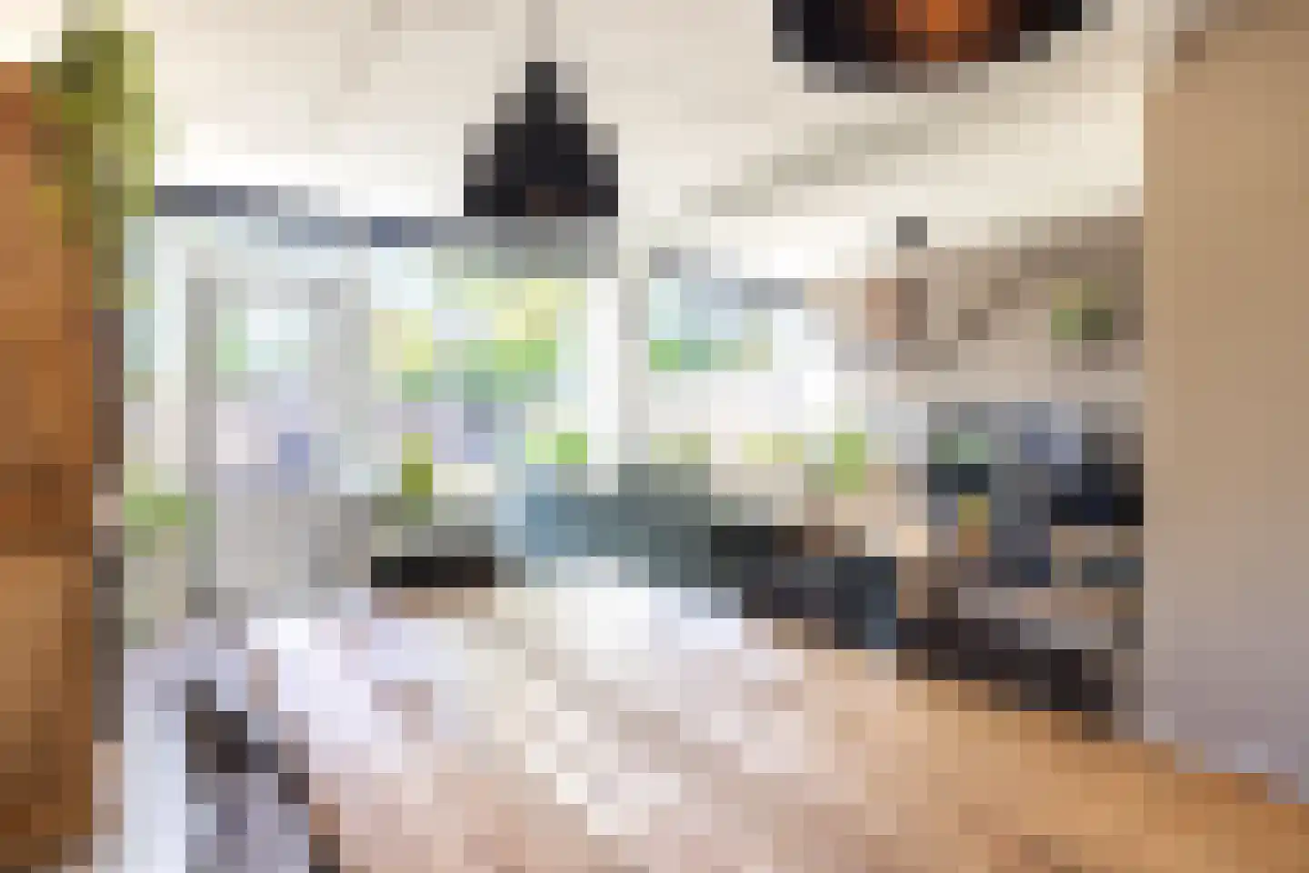 van Leeuwenhoeklaan 6 Doetinchem thumbnail 10