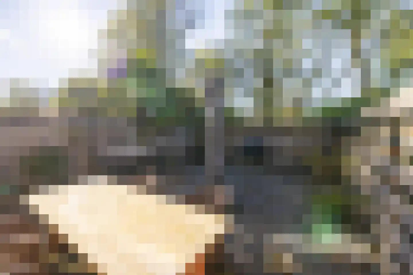 van Leeuwenhoeklaan 6 Doetinchem thumbnail 11