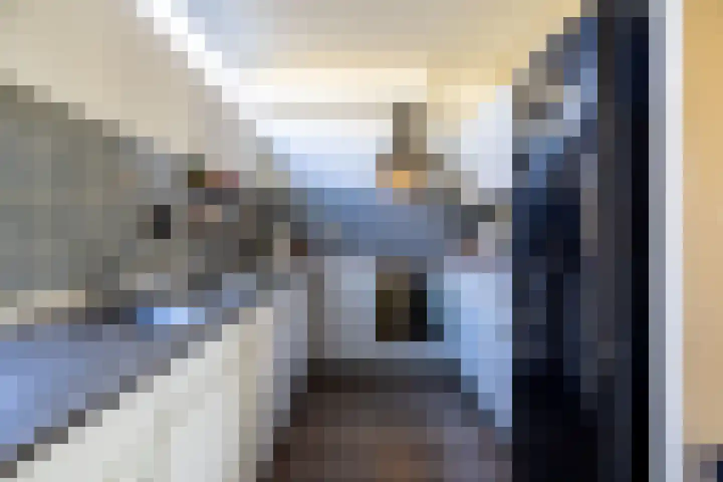 van Leeuwenhoeklaan 6 Doetinchem thumbnail 8