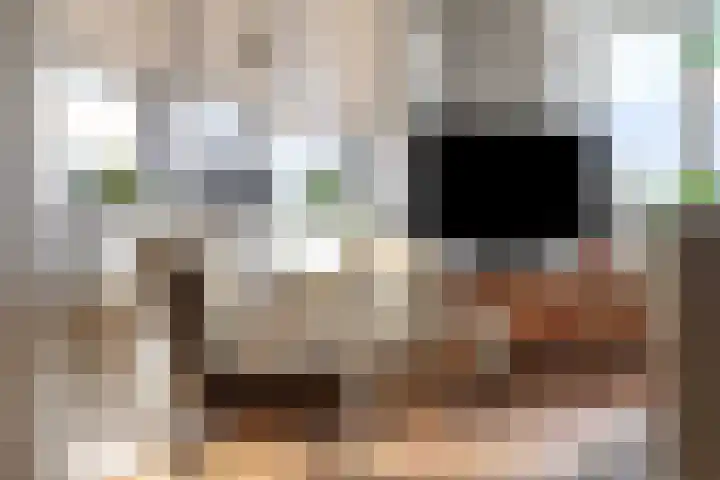 Van Leeuwenhoeklaan 6 Roosendaal thumbnail 11