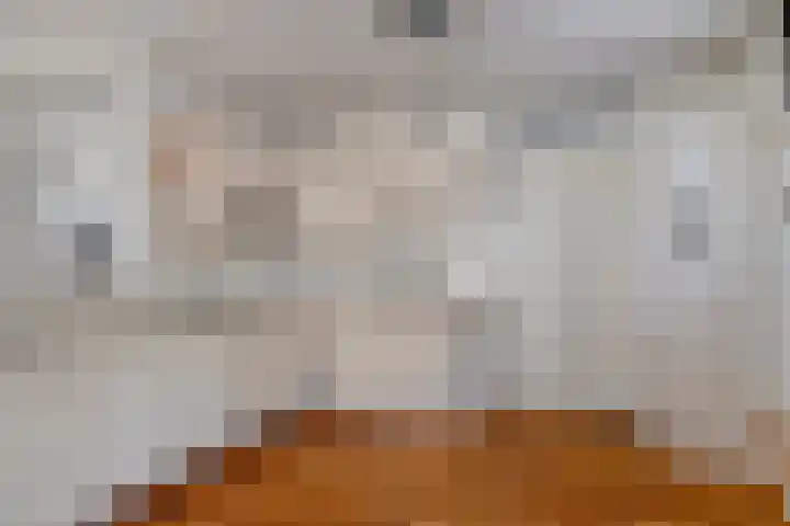 Van Leeuwenhoeklaan 6 Roosendaal thumbnail 14