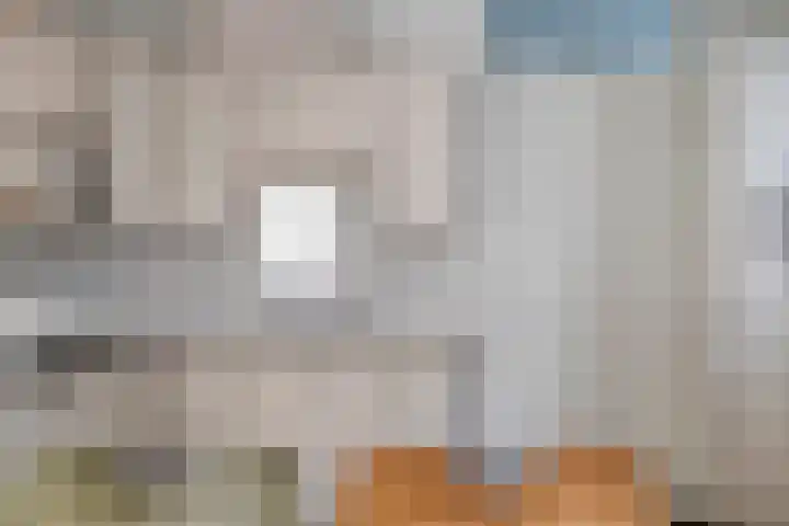 Van Leeuwenhoeklaan 6 Roosendaal thumbnail 15
