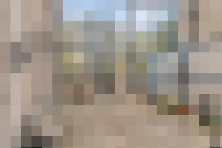 Van Leeuwenhoeklaan 6 Roosendaal thumbnail 23