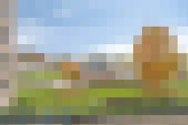 Van Leeuwenhoeklaan 6 Roosendaal thumbnail 24
