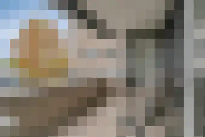 Van Leeuwenhoeklaan 6 Roosendaal thumbnail 25