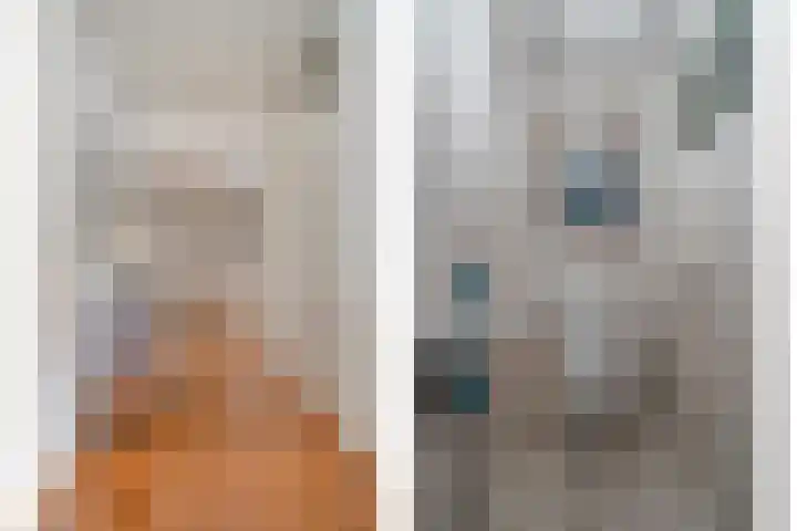 Van Leeuwenhoeklaan 6 Roosendaal thumbnail 6