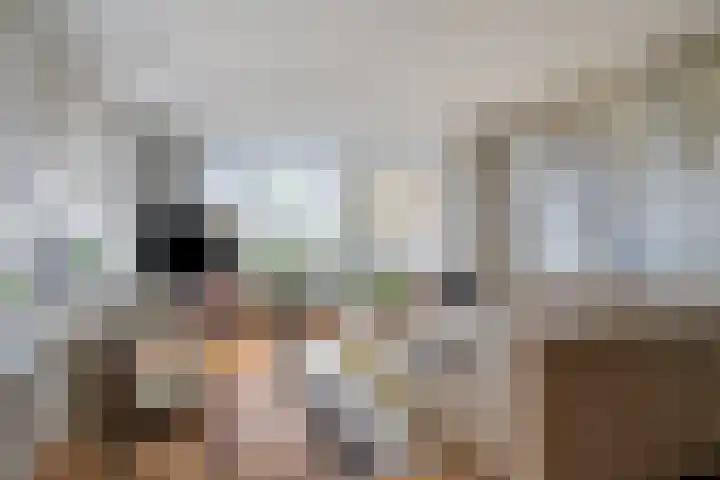 Van Leeuwenhoeklaan 6 Roosendaal thumbnail 7